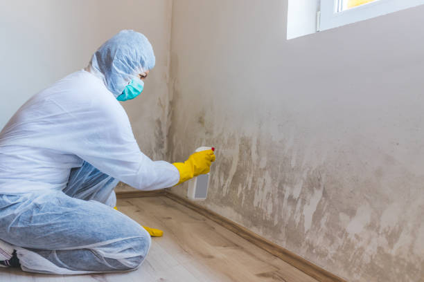 Mold inspector in South Haven performing thermal imaging